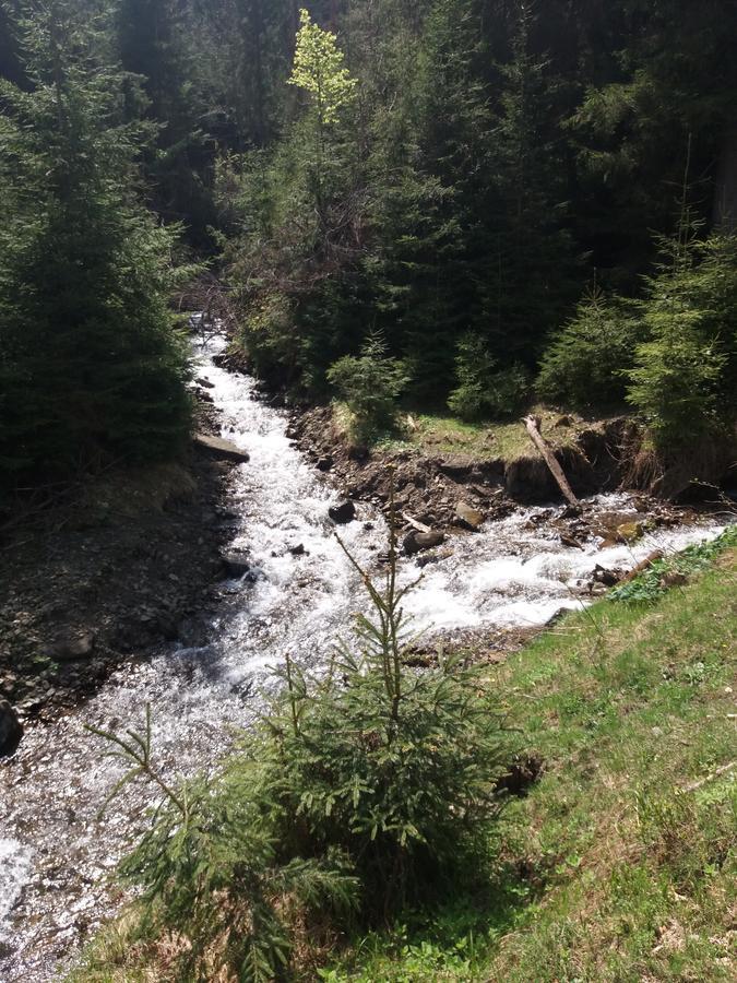Верховинський Котедж Bükköspatak Kültér fotó